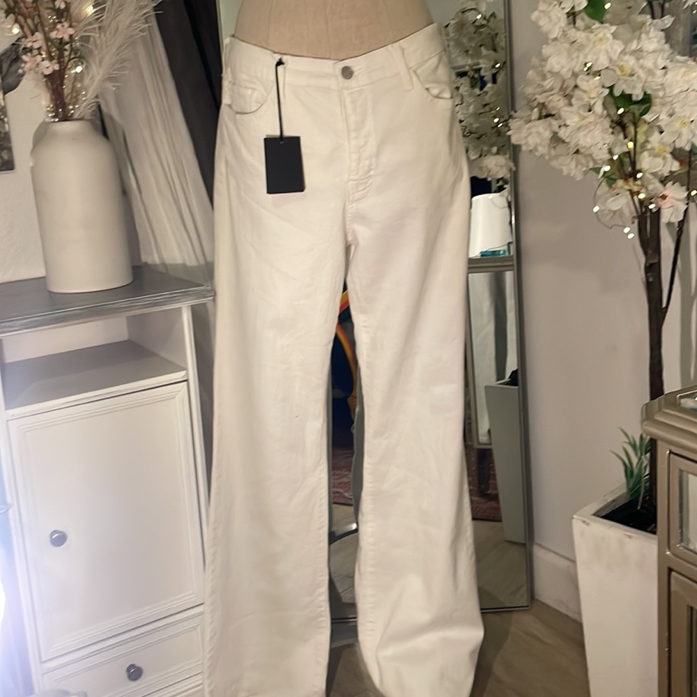 Brand new! Never worn! Flying monkey!